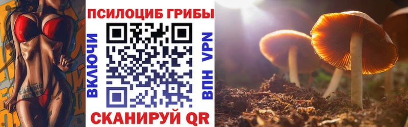 где купить   Южноуральск  Псилоцибиновые грибы прущие грибы 