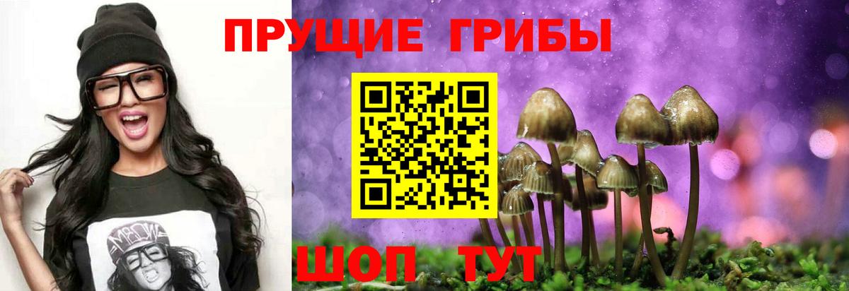 Южноуральск  Галлюциногенные грибы Psilocybine cubensis  Вход с VPN 